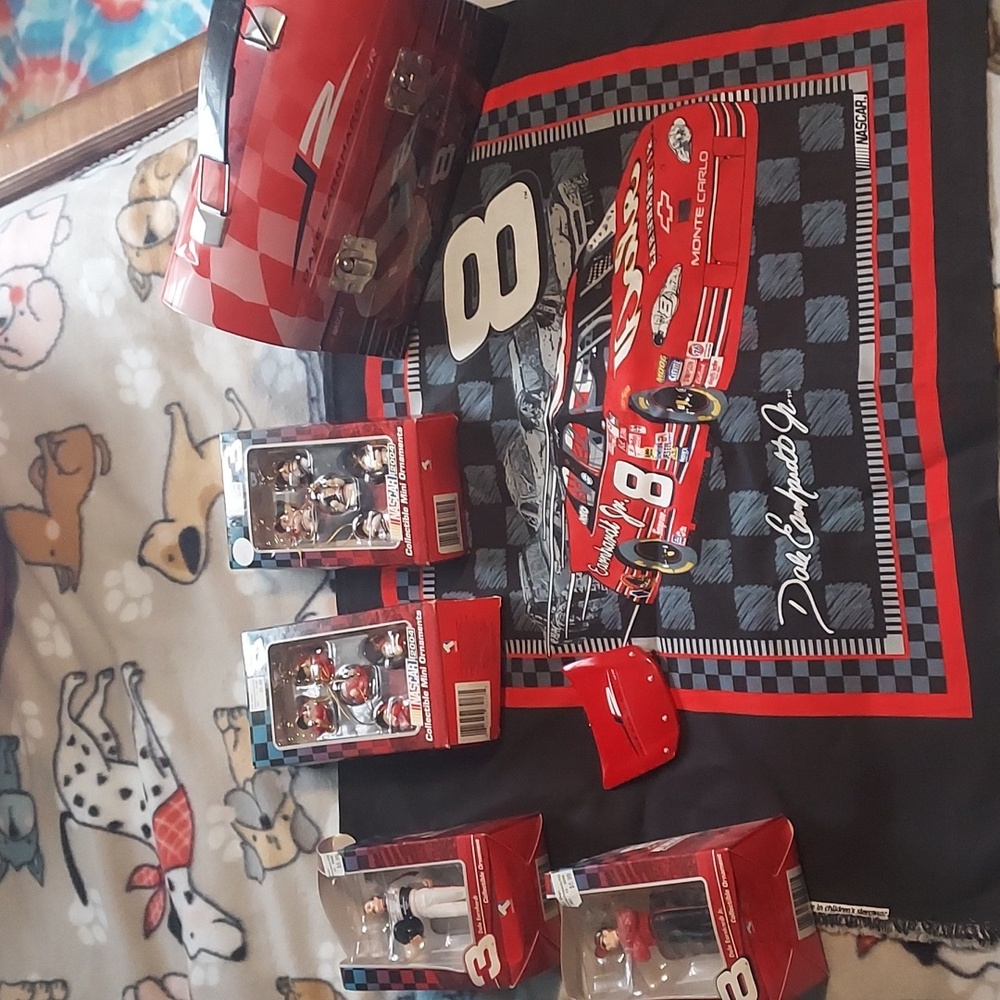 Dale Earnhardt lot